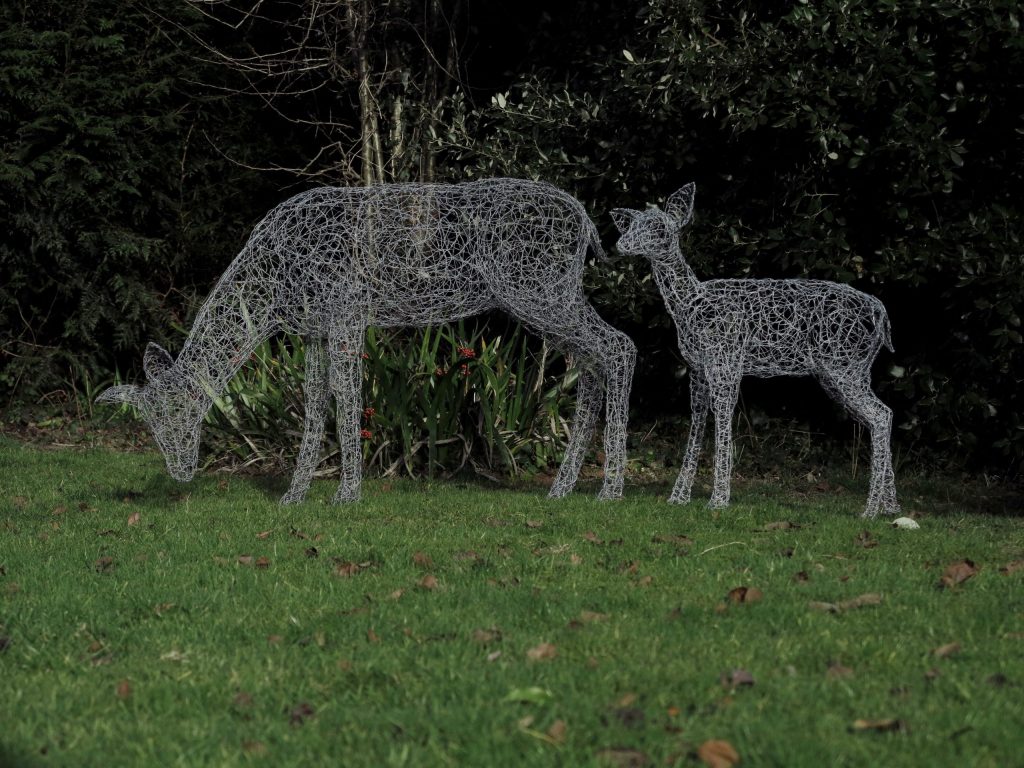Grazing wire deer and fawn